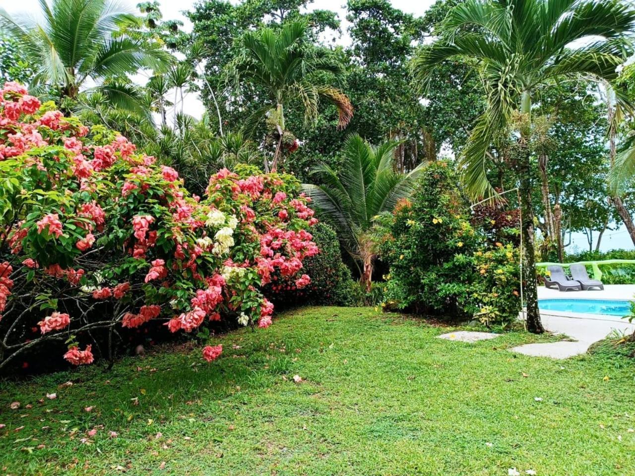 Hotel La Diosa Cahuita Exterior foto